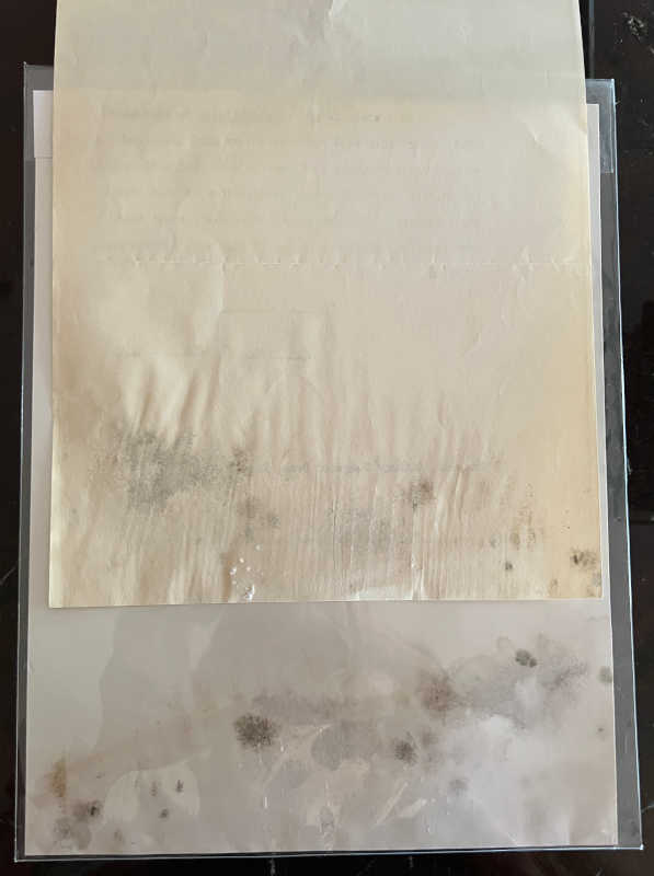 Mold on Stiffener and Letter as Returned by Frsteam after 'Freeze Drying